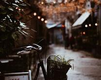 青少年抑郁，治愈之路与时间的较量