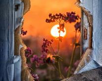 Exploring the Core Components of Educational Philosophy:An English Composition