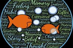 尊重学生，教育理念的核心