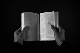 理解父母受教育程度，其意义与影响