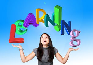 选择适合孩子的学校，教育工作者的视角