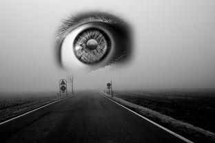 青少年抑郁，治愈之路与希望之光